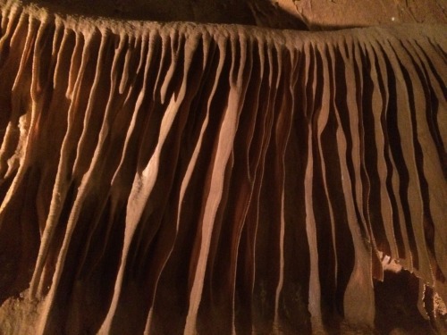 anomalokaris: Geomorphology field trip (pt 1) Cave Without a Name, Boerne, Tx