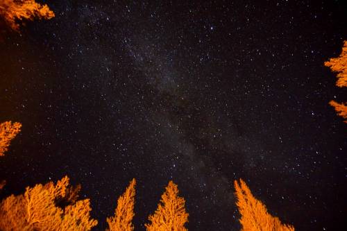 Milky Way Framed by Pines Lit by Firelight, Sequoia, CA [3000x2000] [OC]