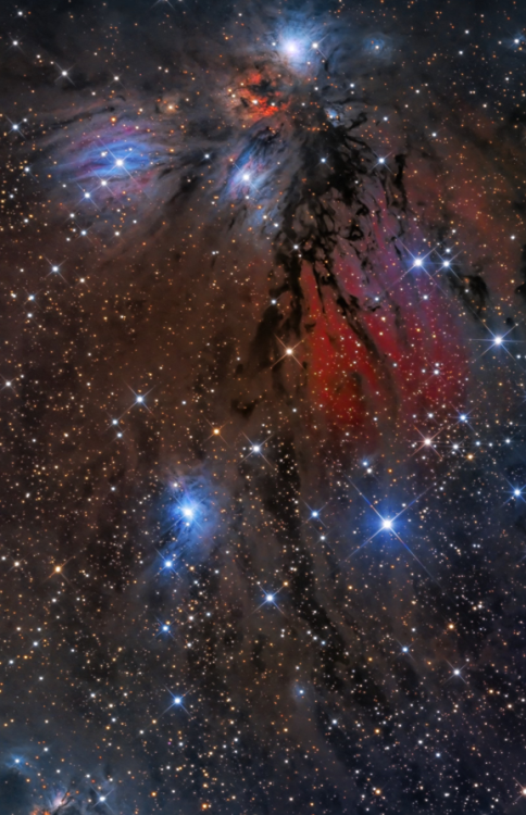 NGC 2170, Stardust Angel