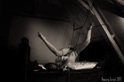 franckievega:  Picture and ropes @amaury-grisel-shibari