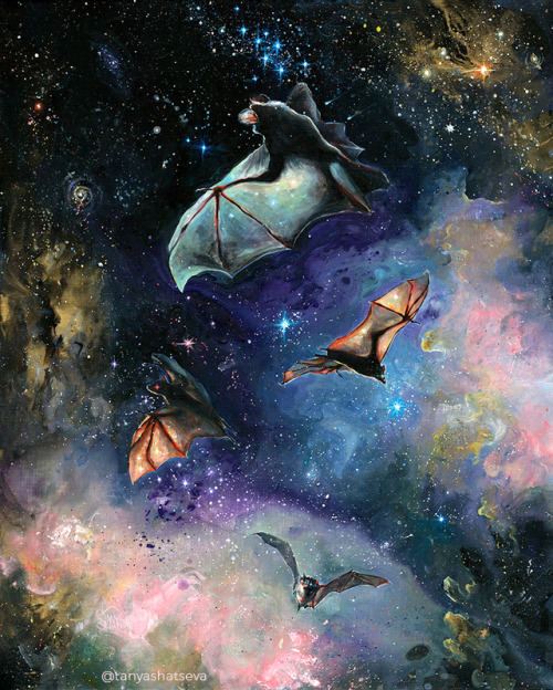 SCREAM OF A GREAT BAT Once the stars in the sky seemed other worlds to me. Now I know these sharp po