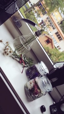 trafano:🌿flowers🌿 🌱the best to potions🌱