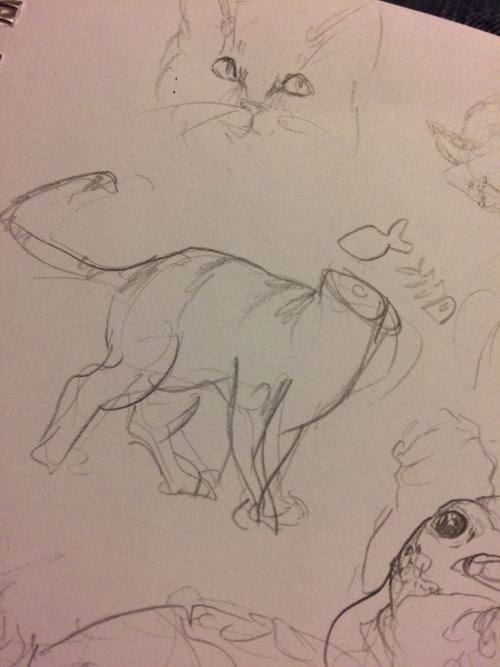 Headless Cat God