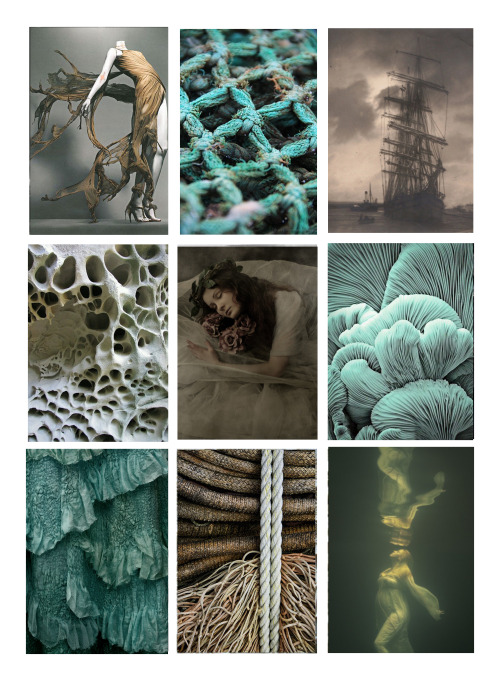 stories-in-the-fog:Moodboards about SHIPWRECK. All that inspirations will lead my textile work. 