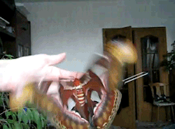 Dirtyflowerchild:  Silly-Humanity:  Saepphire:  ❁  That Fucker Is Too Big Omfg