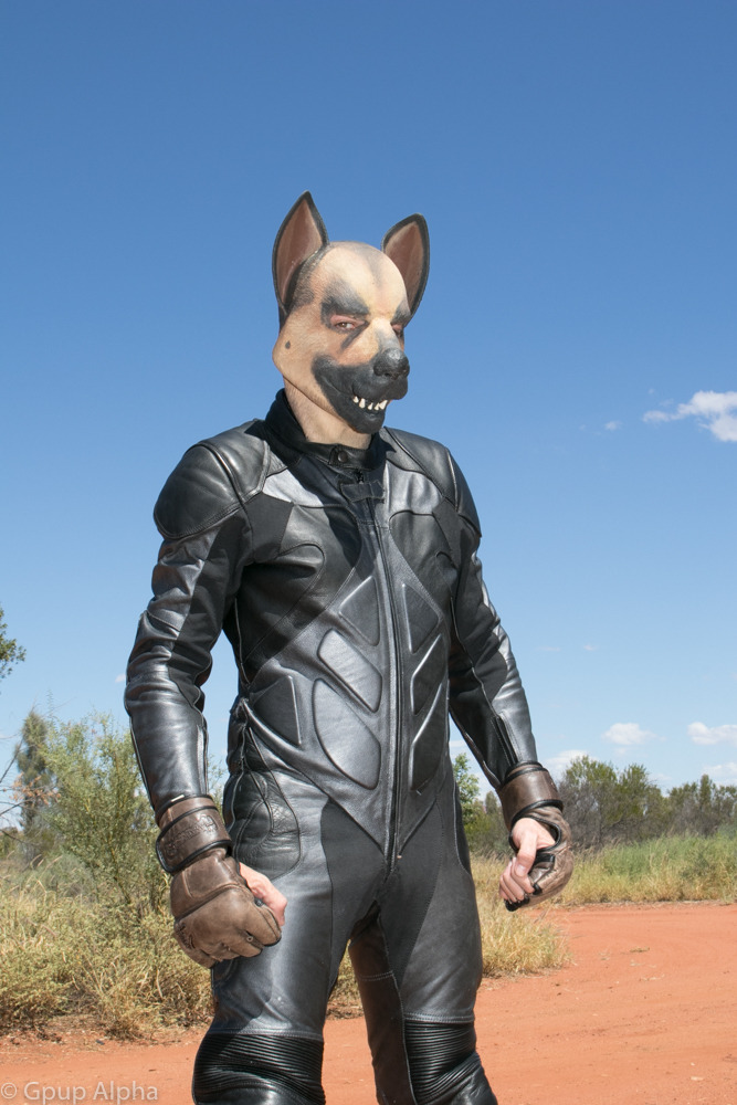 While I am definitely a leather dog, I am at my heart a true Aussie pup&hellip;