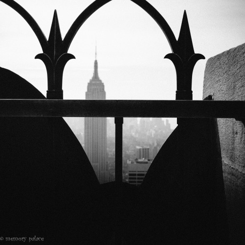 ~ Building Stories - X~