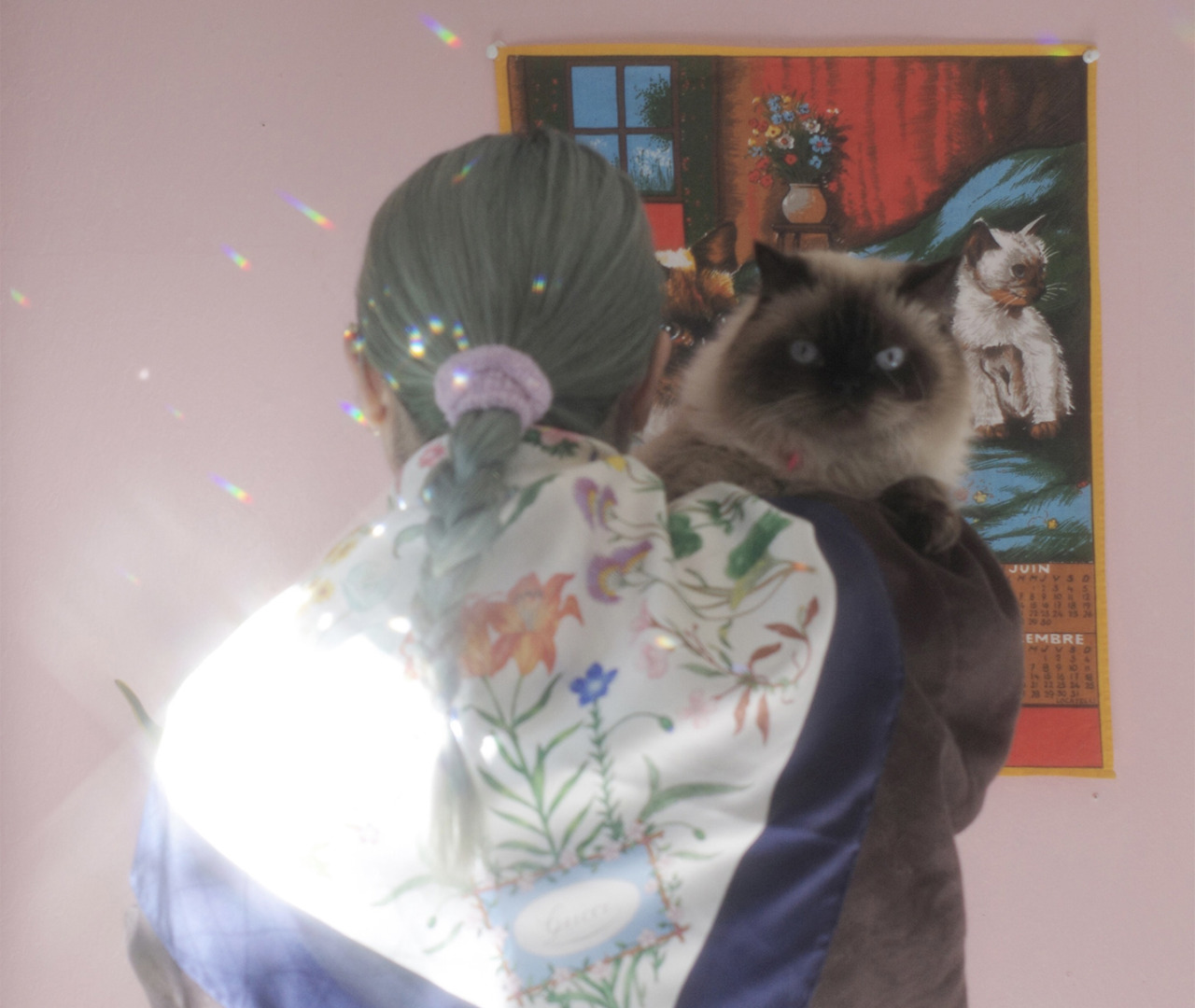 狸寝入り Explore Tumblr Posts And Blogs Tumgir 狸寝入り Explore Tumblr Posts And Blogs Tumgir