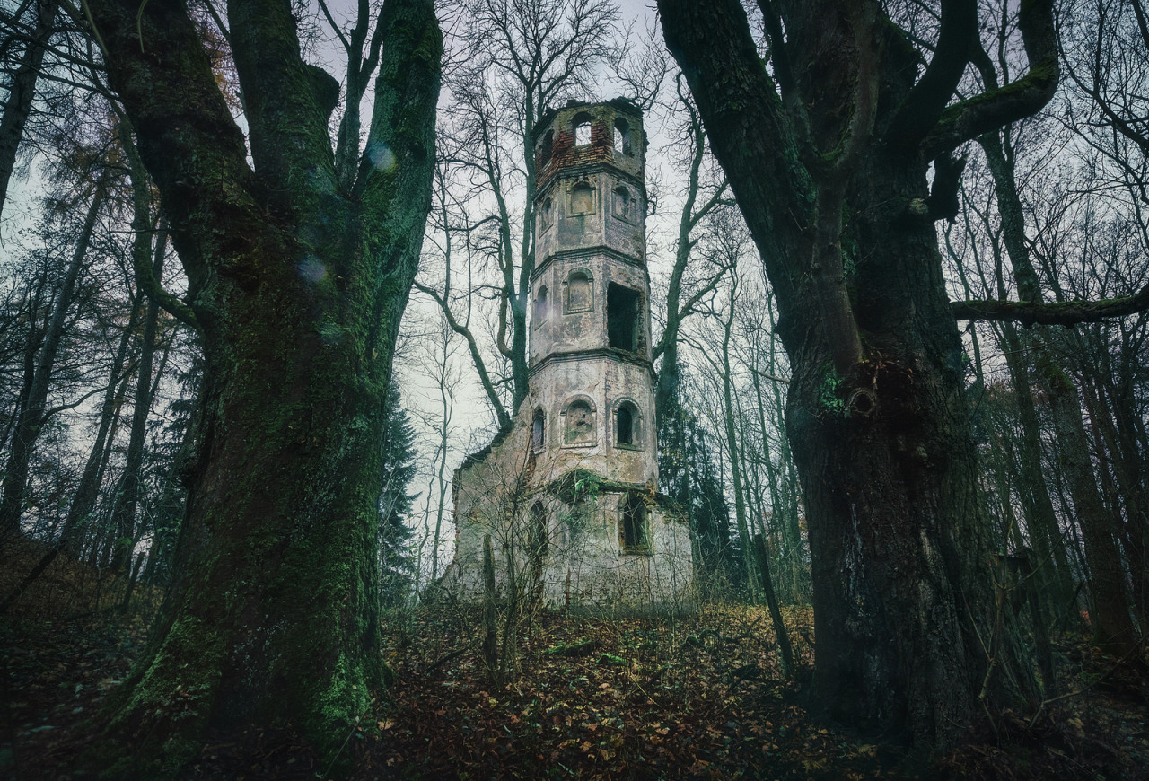 90377: Rapunzel’s Solitude by Martin  	Book I 500px I Twitter I Vimeo  
