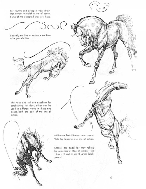 If You Love Animals Or Drawing Then You Should Add This Book To Your Collection. The Art Of Animal Drawing