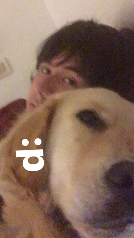 Tumblr media