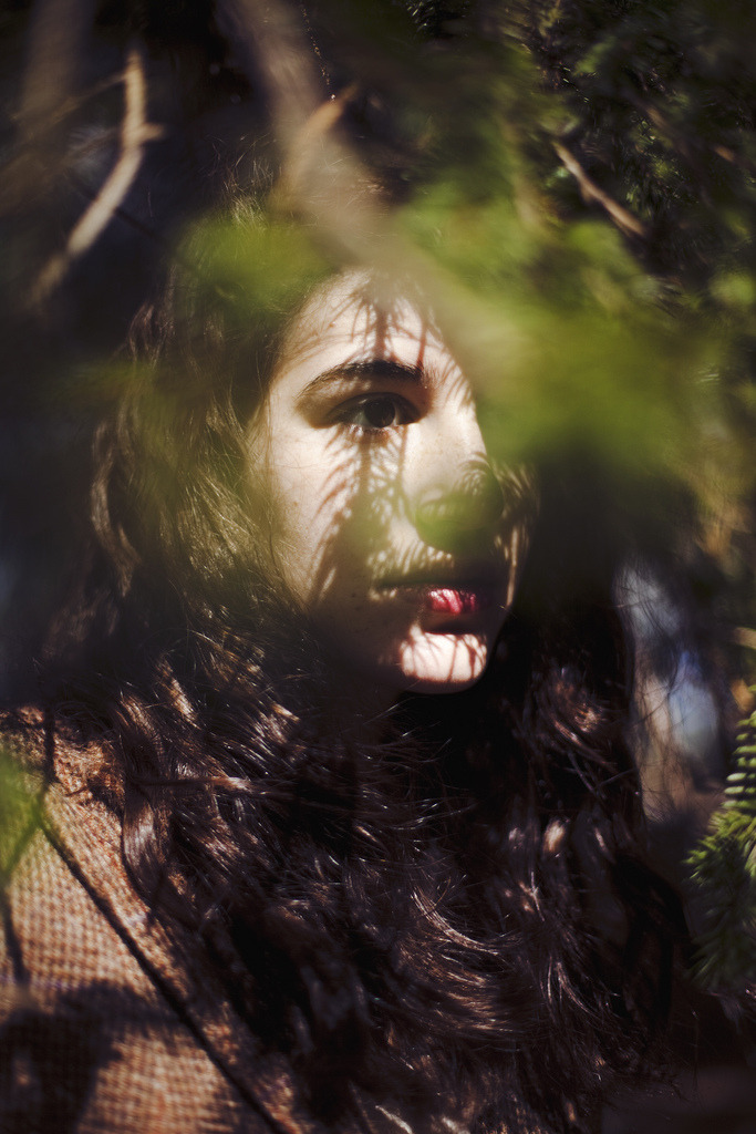 8birds:  Sara (by alexis mire) 