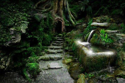 hezoo: odditiesoflife: Puzzlewood Magical Forest — The Real Middle Earth Puzzlewood is a uniqu