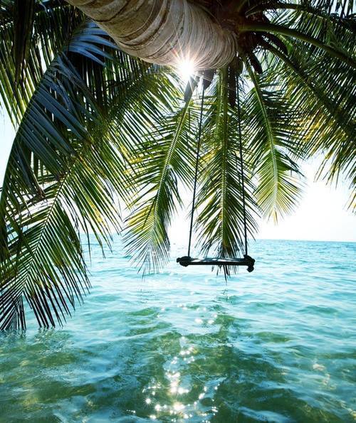 t-iki-oasis:  exotic-elephant-s:  travelingwaters:  tropicri:  Tropical Blog  ☼☼☼TROPICAL / ACTIVE☼☼