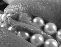 spgent:  hypnotic…UNF! 