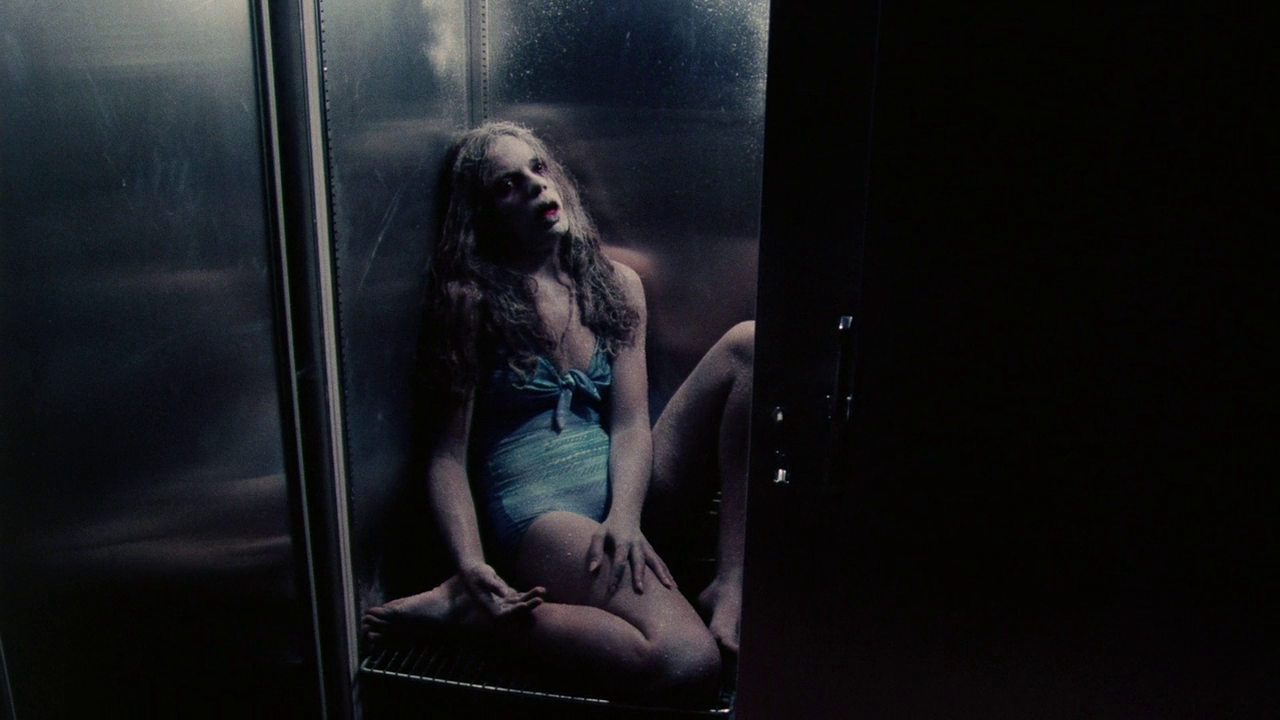 Screenshots from the David Cronenberg&rsquo;s Rabid (1977), which has recently