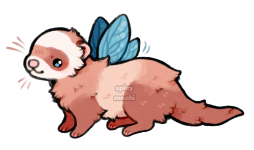 spicymochi:fairy ferret