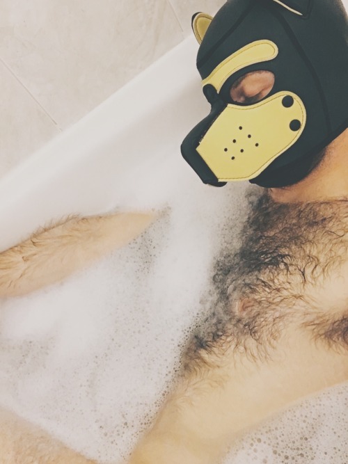 pupbustermackenzie:how do puppies have the most fun by themselves after a long day? bubblebath! duh.