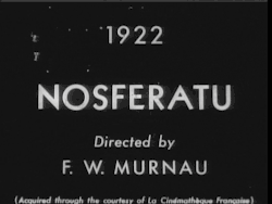 um-this-is-awkward:  Nosferatu (1922) 
