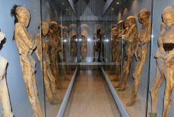 creekdontrise:  Mummies of Guanajuato  Ray Bradbury visited the catacombs of Guanajuato with his friend Grant Beach and wrote the short story “Next In Line” about his experience. In the introduction to The Stories of Ray Bradbury he wrote the