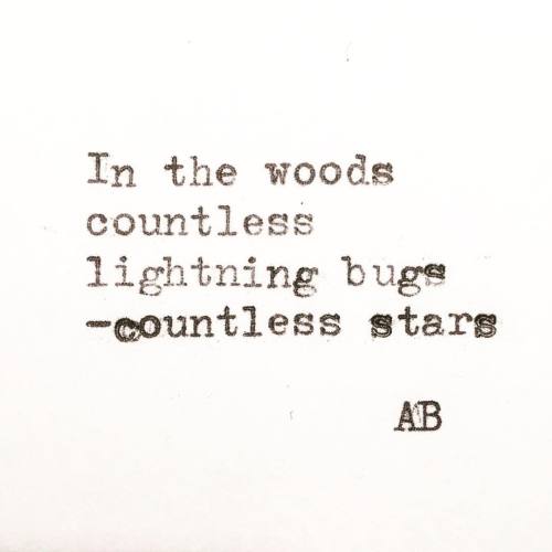 Haiku 38 // ft. Lightning bugs