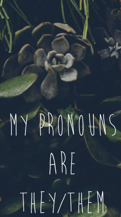 they/them pronouns + plant-themed lock screensdimensions: 750 x 1344made to fit the iPhone 6s