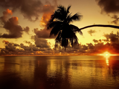 Aitutaki lagoon, Cook Islands ~ Photo by Peter Hendrie