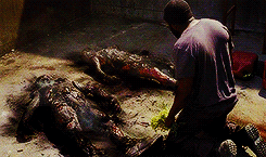  The Walking Dead  — 4x01; Infected 