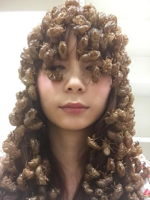 fun fact about me I used to eat cicada shells when i was around 12 cause i like the crunch 
