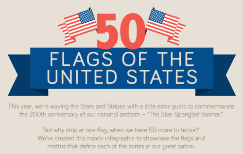 50 flags of the United States