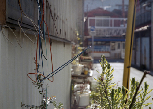 untitled by *masa on Flickr.