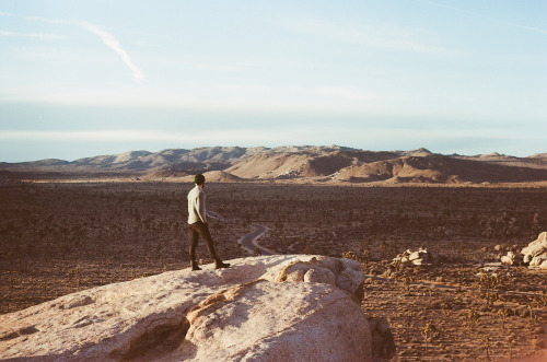 Joshua Tree, CA