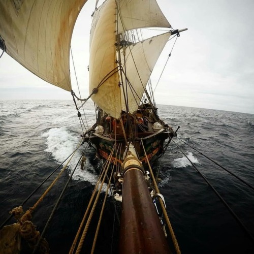 utwo:…in the wind© simone panda