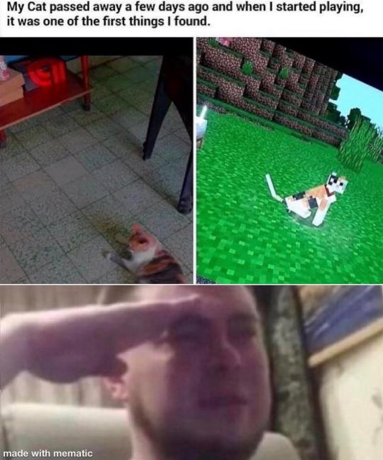 wholesome
