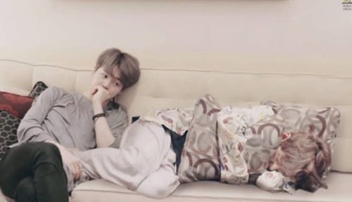 The Softest Picture To Exist