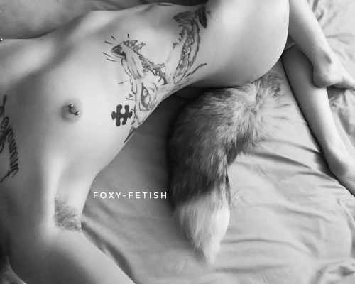 foxy-fetish: A little fox with nobody to play with  Send me toys and things for my birthday and Vale