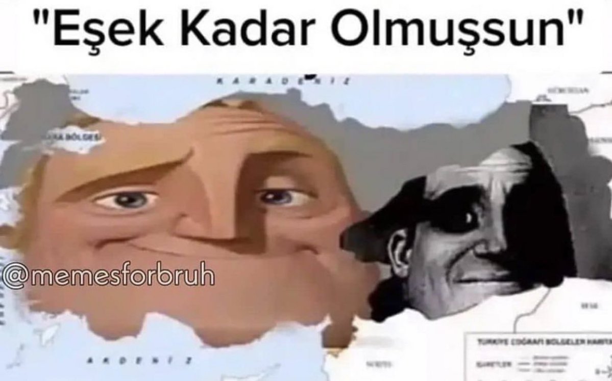 "Eşek Kadar Olmuşsun"...