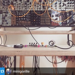 hochanc:  regram from @minigorille: fun Sunday session #synthesizer #korg #eurorack by littlebits https://instagram.com/p/0iwltjg656/