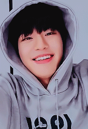 Seungmin’s Bday Vlive 🐶