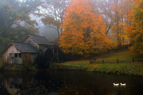 woodendreams: Maybry Mill, Blueridge Parkway, West Virginia, US (by Robert Melgar)