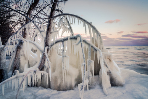 Ice Formations at Bradford Beach by Paul Frederickson