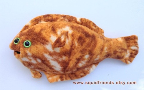 I wanted to drop in with a quick update regarding the flounders. I currently only have 3 in stock. A