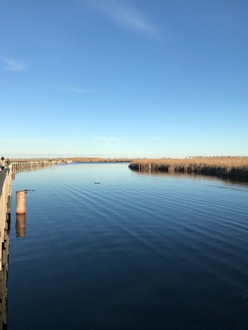 Point Pelee, Ontario, CanadaThe most southern point of Continental Canada