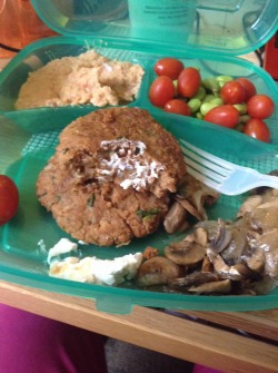 This is a typical school lunch for me. Veggie burgers with some sautéed onions and mushrooms, a dollop of my own vegenaise, edamame, tomatoes, and lots of hummus