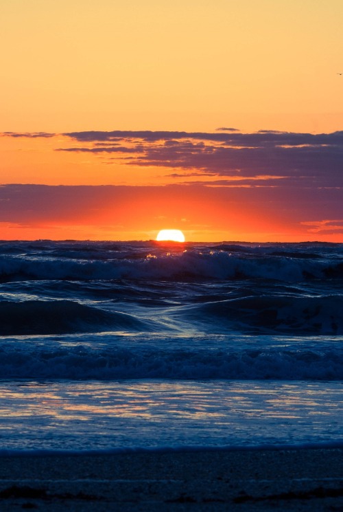 amargedom:  Sunrise | by Rob Futrell.      