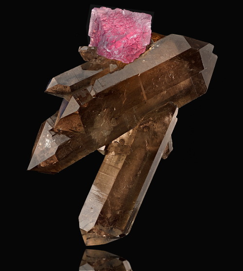 Fluorite with Smoky Quartz -  Zinggenstock, Grimsel, Haslital, Berner Oberland, Switzerland         