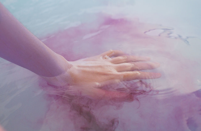 lavender study by Laurence, on Flickr.