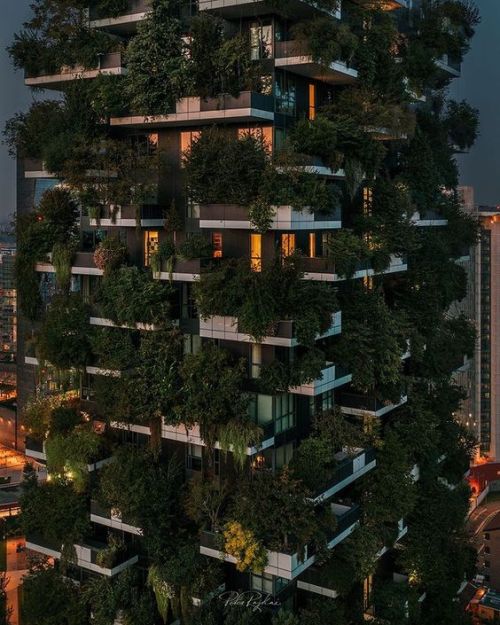 Peter Rajkai - 2021‘Bosco Verticale’,Milan,Italy_