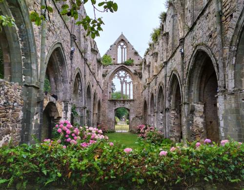 allthingseurope:Beauport Abbey, France (by Anita costa)