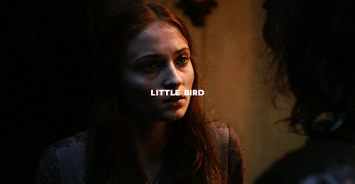 daenerys-stormborn:Sansa Stark + names/titles (requested by @manbunjon)